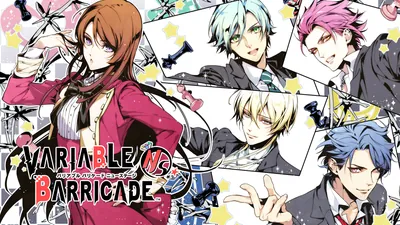 VARIABLE BARRICADE NSのパッケージ画像