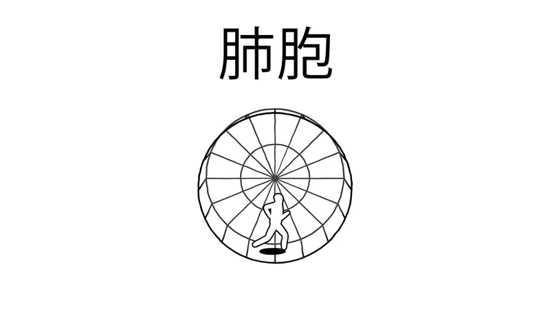 肺胞のパッケージ画像