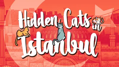 Hidden Cats in Istanbulのパッケージ画像
