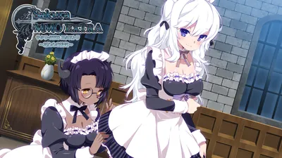 サクラ・MMO エクストラ ～新たなる挑戦～のパッケージ画像