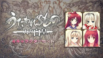 DLCユニットデータ 「４キャラクターセット」のパッケージ画像