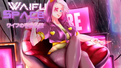 ワイフの宇宙征服のパッケージ画像