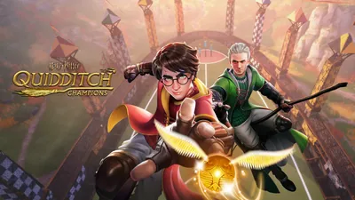 『ハリー・ポッター：クィディッチ・チャンピオンズ』
Harry Potter: Quidditch Championsのパッケージ画像