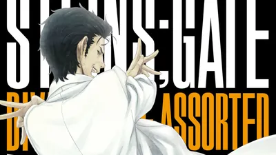 STEINS;GATE ダイバージェンシズ アソートのパッケージ画像