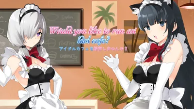 アイドルカフェを経営しませんか？のパッケージ画像