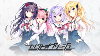 セレクトオブリージュのパッケージ画像