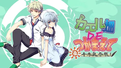 カエル畑ＤＥつかまえて・夏　千木良参戦！のパッケージ画像