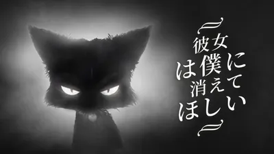 彼女は僕に消えてほしいのパッケージ画像