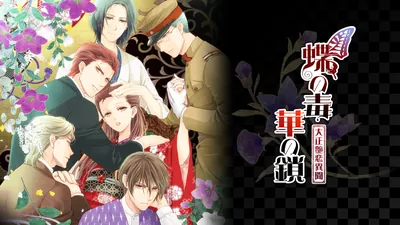 蝶の毒 華の鎖～大正艶恋異聞～のパッケージ画像