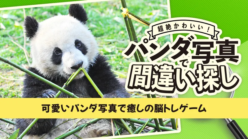 超絶かわいい！パンダ写真で間違い探しー可愛いパンダ写真で癒しの脳トレゲームーのパッケージ画像