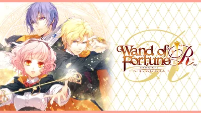 ワンド オブ フォーチュン Ｒ for Nintendo Switchのパッケージ画像