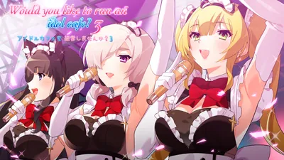 アイドルカフェを経営しませんか？3のパッケージ画像