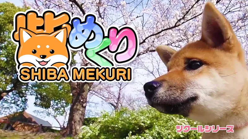 ツクールシリーズ　柴めくりのパッケージ画像